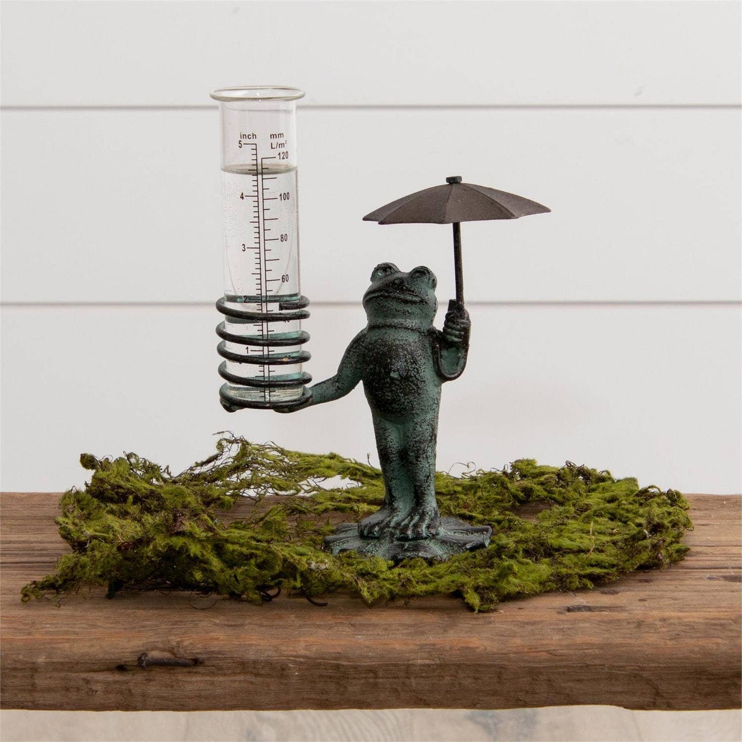Frog Rain Gauge (PC)