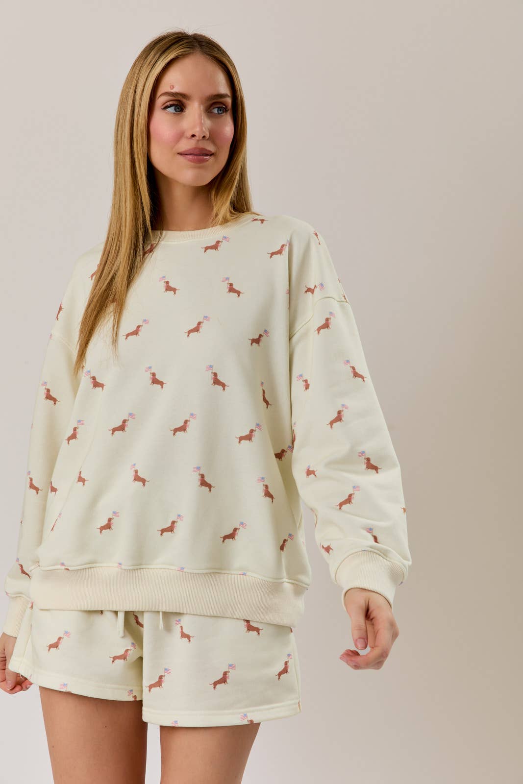 Weiner Dog wtih Flag Sweatshirt