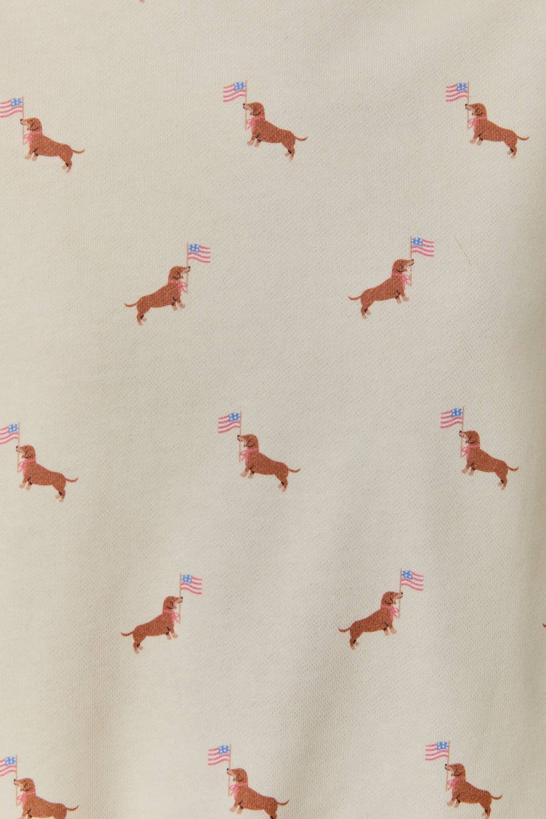 Weiner Dog wtih Flag Sweatshirt