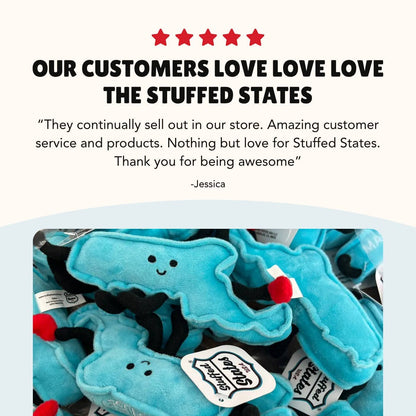 Minnesota State Plush Magnet | Magnet Toy | Mini Stuffs