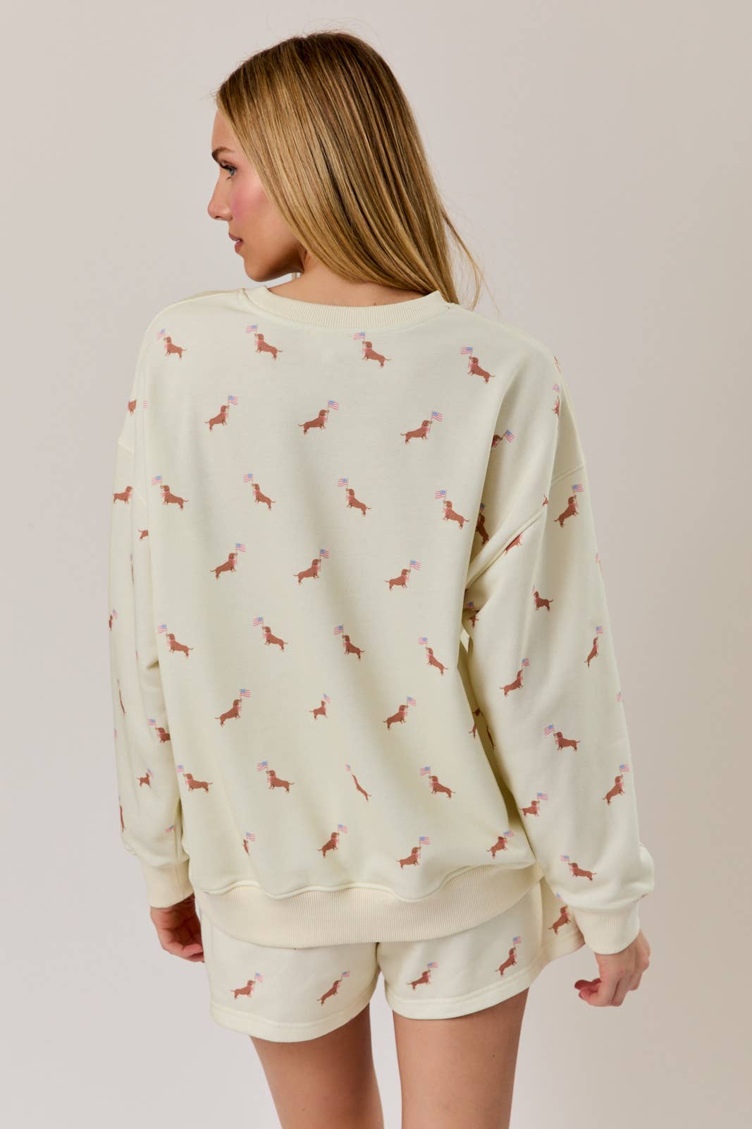 Weiner Dog wtih Flag Sweatshirt